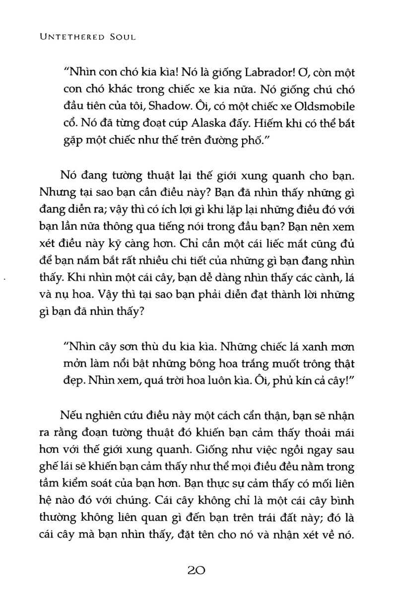 Cởi Trói Linh Hồn - Hành Trình Vượt Qua Giới Hạn Của Chính Mình