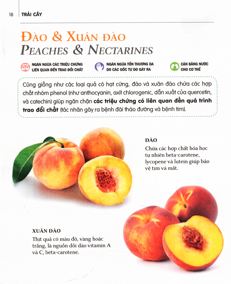 Dinh Dưỡng Chữa Bệnh Trái Cây hiểu tác dụng chữa bệnh của các loại trái cây phổ biến, kết hợp trái cây trong bữa ăn hàng ngày để tối đa hóa lợi ích sức khỏe.