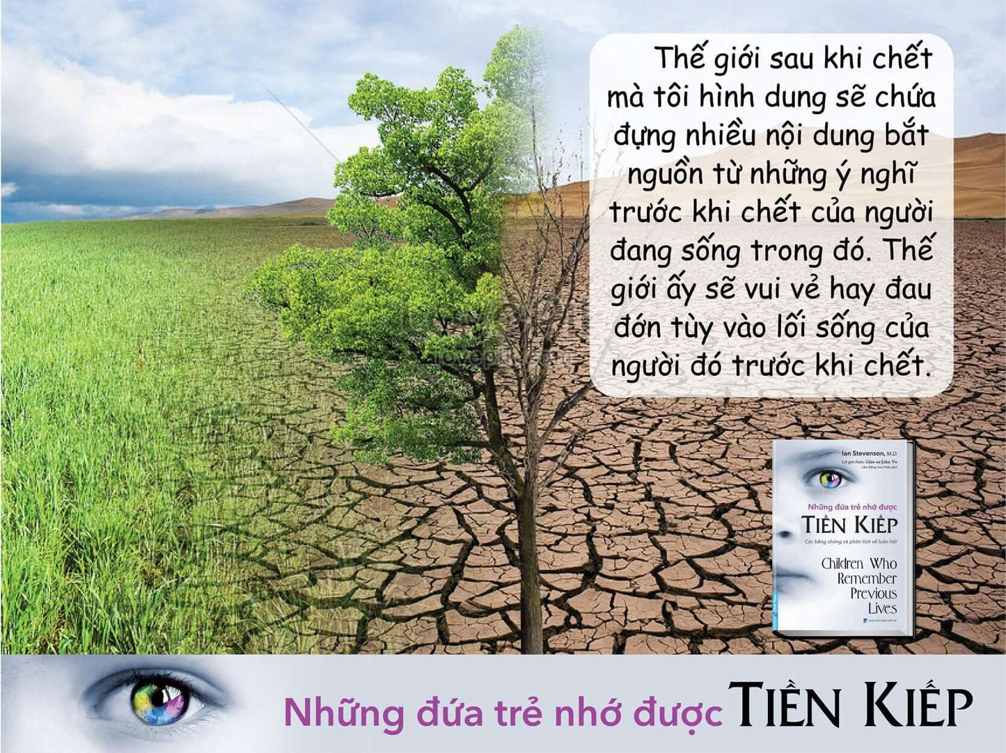 Những Đứa Trẻ Nhớ Được Tiền Kiếp
