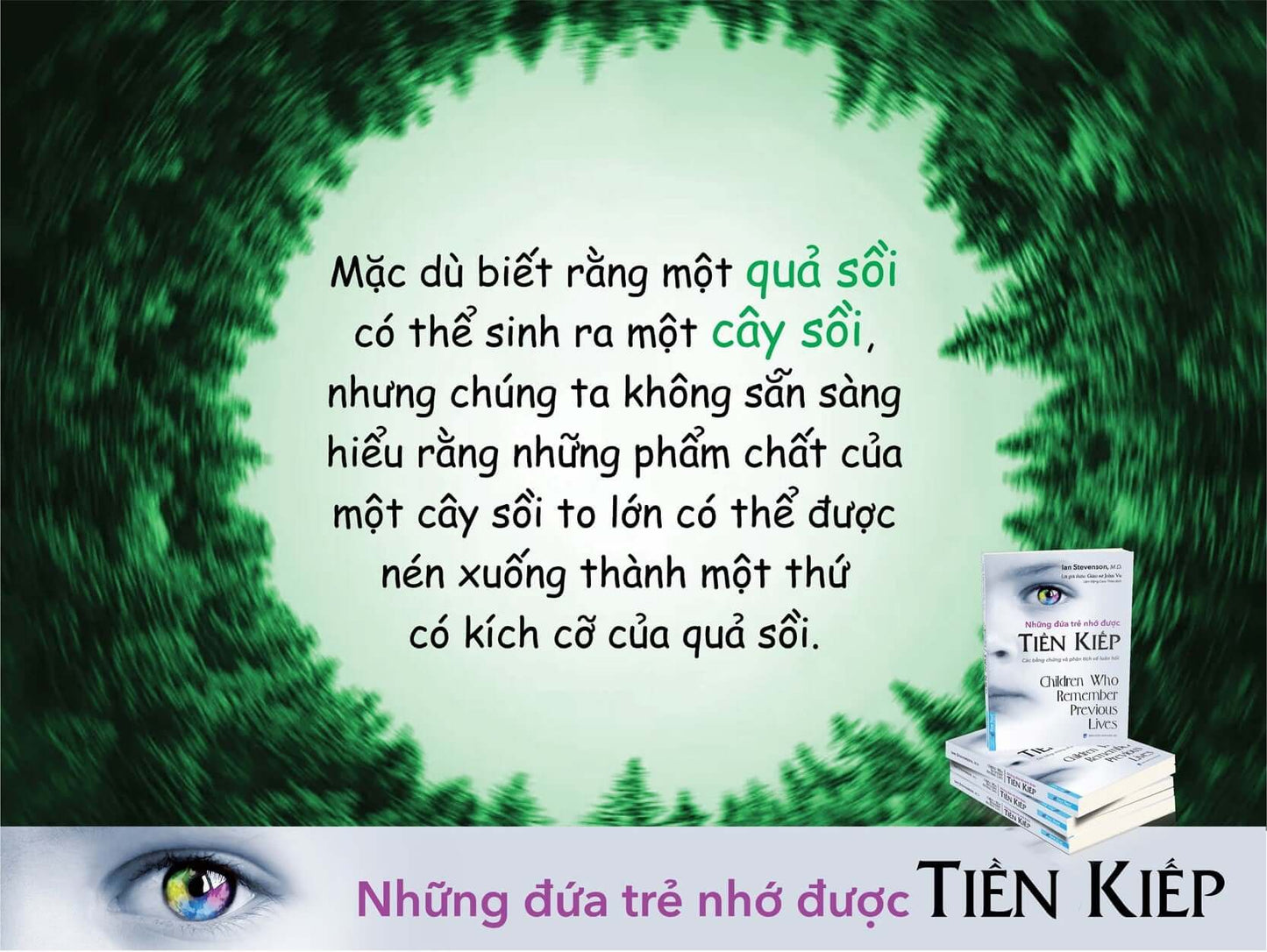 Những Đứa Trẻ Nhớ Được Tiền Kiếp