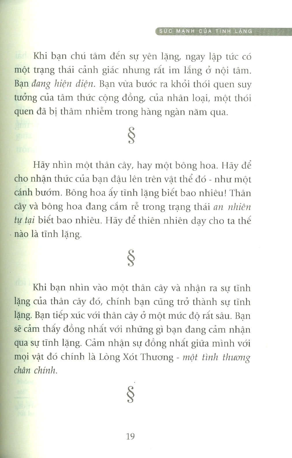 Sức Mạnh Sự Tĩnh Lặng – Tìm Lại Sự Bình An Giữa Cuộc Đời Biến Động