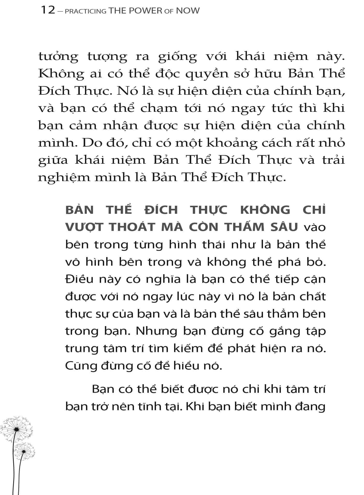 Trải Nghiệm Sức Mạnh Hiện Tại – Hành Trình Trở Về Với Bản Thể Đích Thực