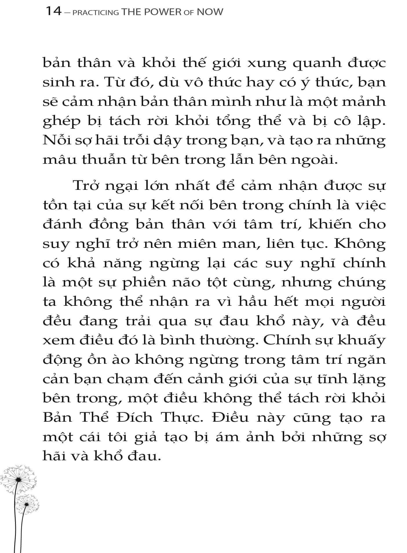 Trải Nghiệm Sức Mạnh Hiện Tại – Hành Trình Trở Về Với Bản Thể Đích Thực