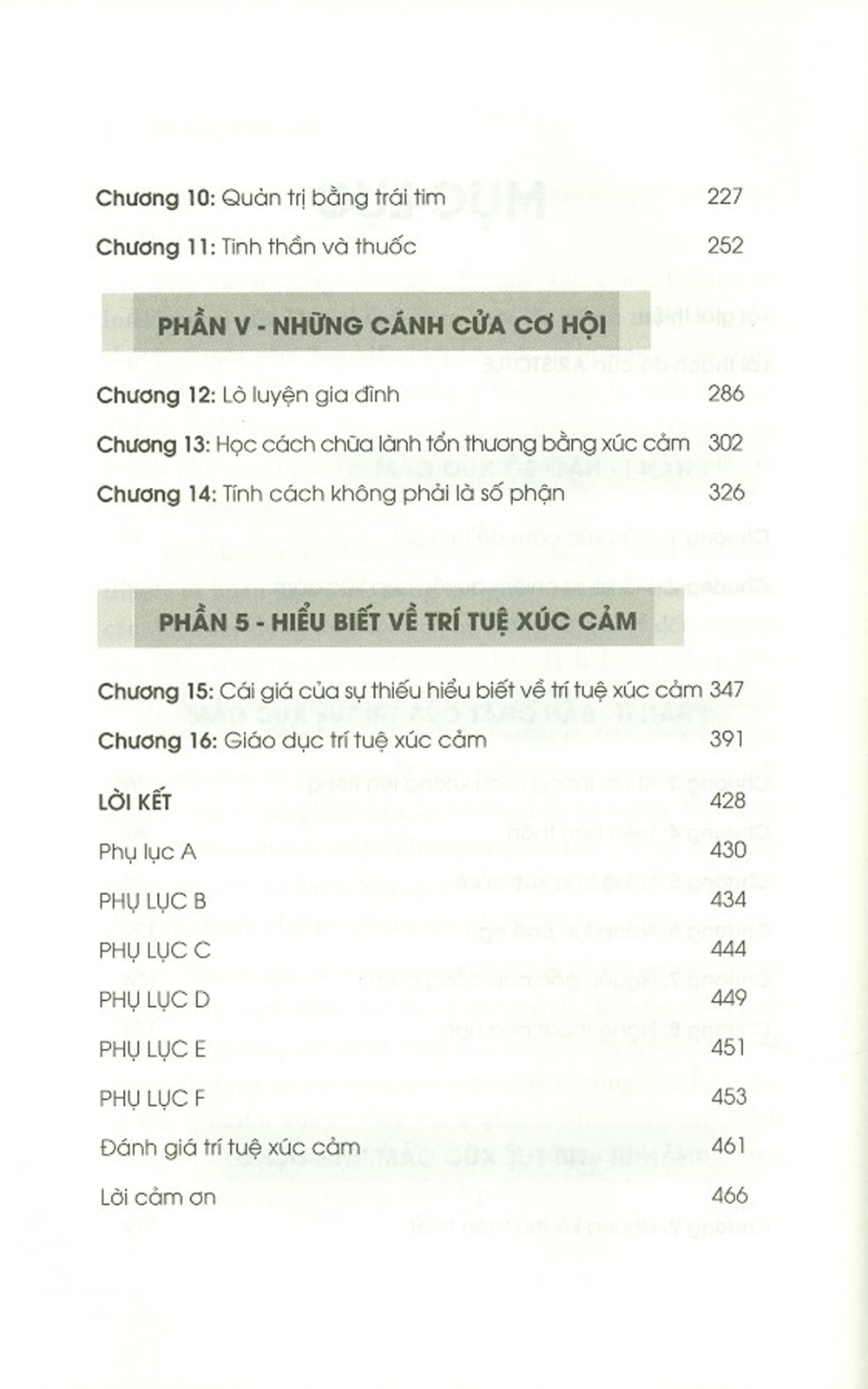 Trí Tuệ Xúc Cảm – Khi Cảm Xúc Trở Thành Sức Mạnh Dẫn Dắt Cuộc Đời