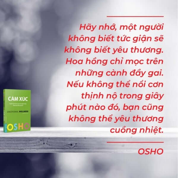 Chuyển Hóa Nỗi Sợ Hãi, Giận Dữ Và Ghen Tuông Thành Năng Lượng Sáng Tạo mang đến một cái nhìn sâu sắc về cách chúng ta hiểu và đối mặt với cảm xúc của bản thân