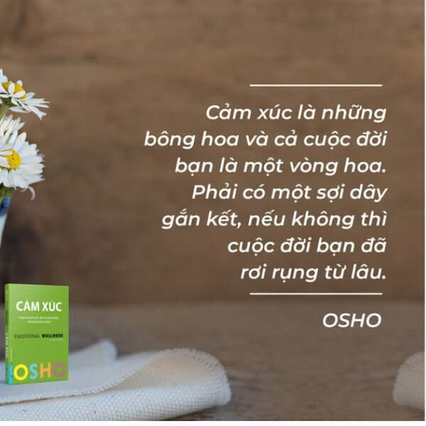 Chuyển Hóa Nỗi Sợ Hãi, Giận Dữ Và Ghen Tuông Thành Năng Lượng Sáng Tạo mang đến một cái nhìn sâu sắc về cách chúng ta hiểu và đối mặt với cảm xúc của bản thân