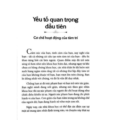 Chuyển Hóa Nỗi Sợ Hãi, Giận Dữ Và Ghen Tuông Thành Năng Lượng Sáng Tạo mang đến một cái nhìn sâu sắc về cách chúng ta hiểu và đối mặt với cảm xúc của bản thân