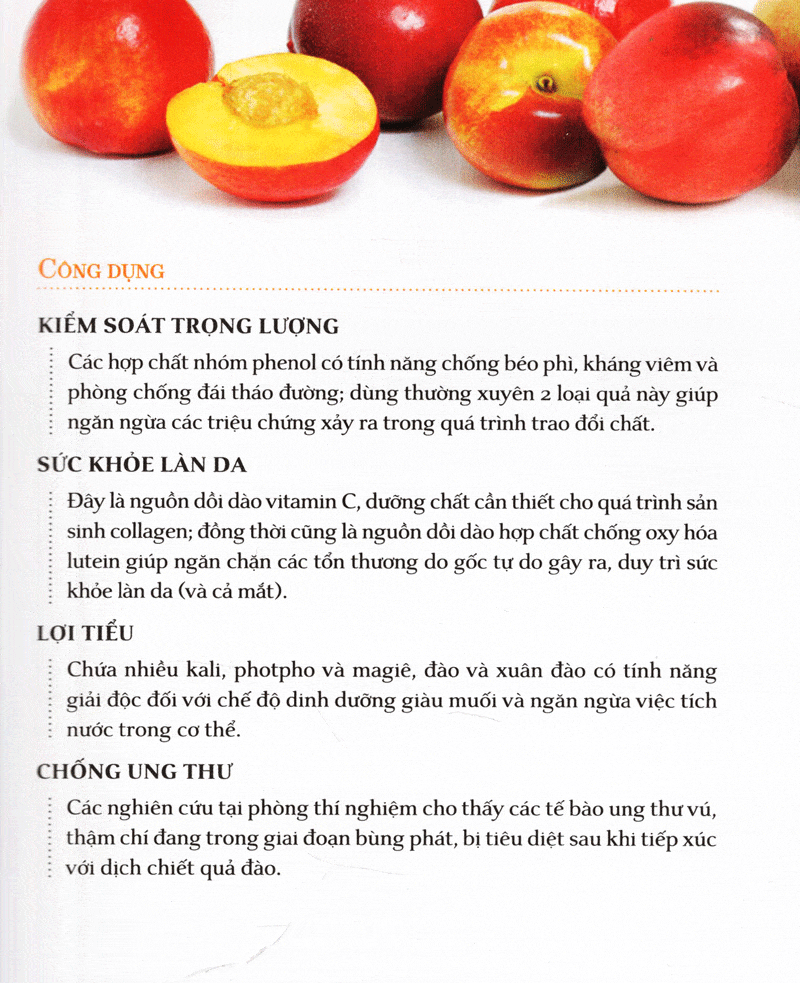 Dinh Dưỡng Chữa Bệnh Trái Cây hiểu tác dụng chữa bệnh của các loại trái cây phổ biến, kết hợp trái cây trong bữa ăn hàng ngày để tối đa hóa lợi ích sức khỏe.