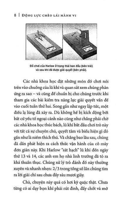 Động Lực Chèo Lái Hành Vi không chỉ là một cuốn sách, mà còn là một kim chỉ nam để hiểu và áp dụng động lực nội tại vào mọi lĩnh vực trong cuộc sống