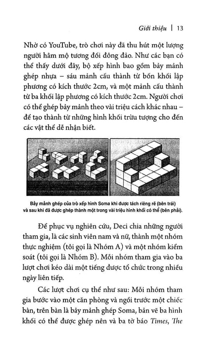 Động Lực Chèo Lái Hành Vi không chỉ là một cuốn sách, mà còn là một kim chỉ nam để hiểu và áp dụng động lực nội tại vào mọi lĩnh vực trong cuộc sống