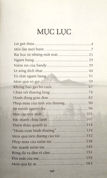 Hạt Giống Tâm Hồn Tập 9
