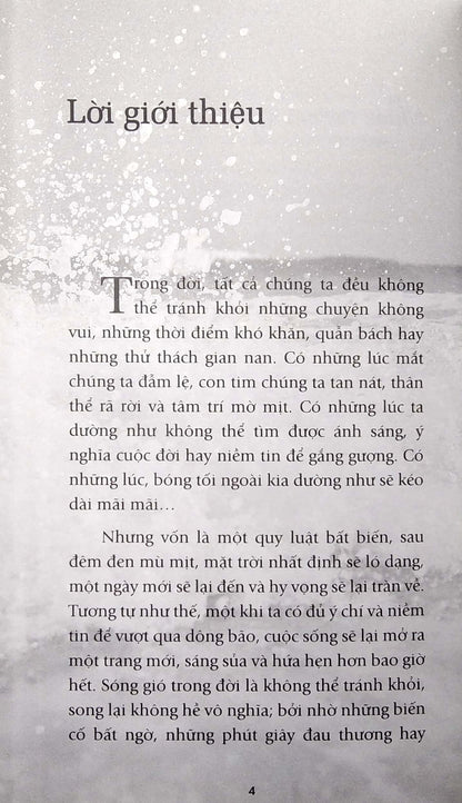 Hạt Giống Tâm Hồn Tập 9