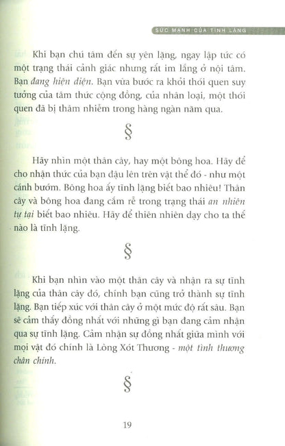Sức Mạnh Sự Tĩnh Lặng – Tìm Lại Sự Bình An Giữa Cuộc Đời Biến Động