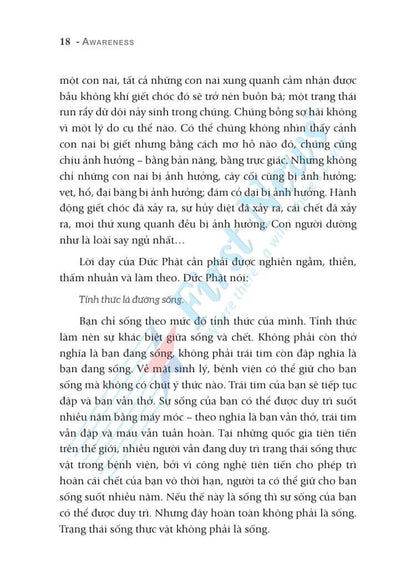 Tỉnh Thức Osho Bí Quyết Cân Bằng Cuộc Sống