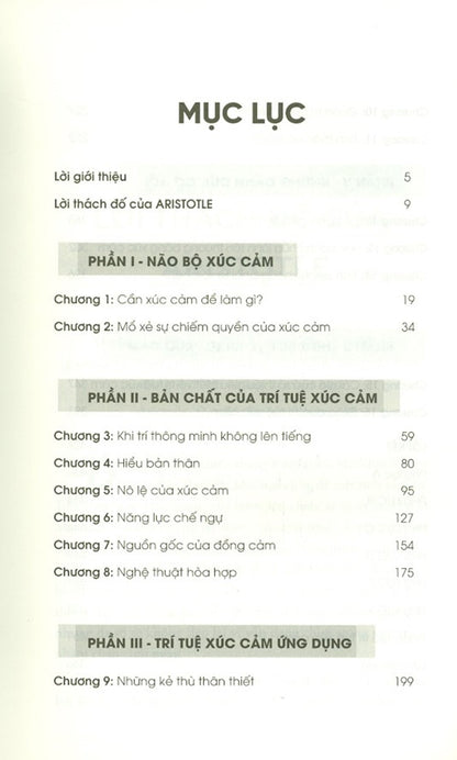 Trí Tuệ Xúc Cảm – Khi Cảm Xúc Trở Thành Sức Mạnh Dẫn Dắt Cuộc Đời