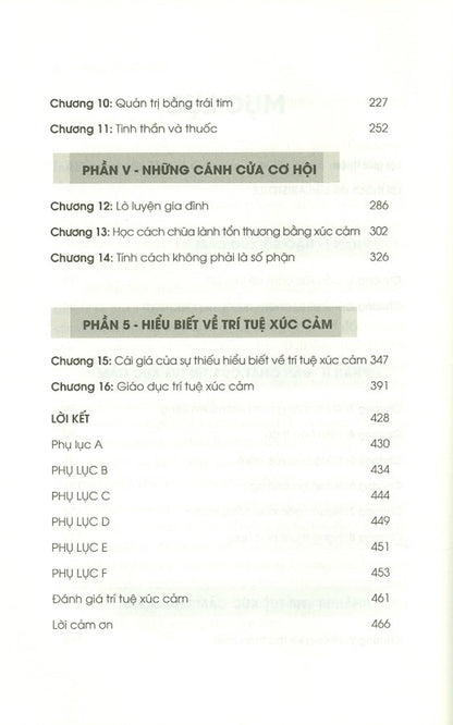 Trí Tuệ Xúc Cảm – Khi Cảm Xúc Trở Thành Sức Mạnh Dẫn Dắt Cuộc Đời
